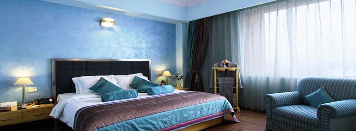 258/The Piccadily - Lucknow 09.jpg